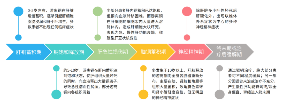 中国罕见病联盟