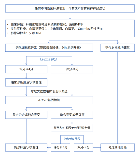 中国罕见病联盟