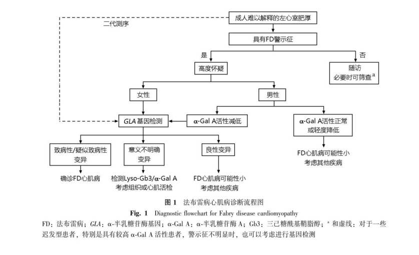 数字干预 数字干预