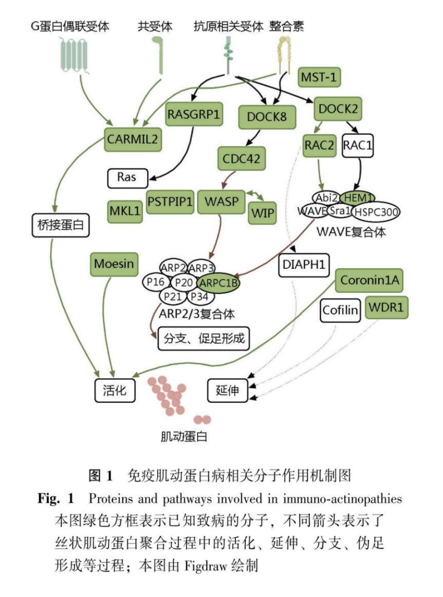 数字干预 数字干预